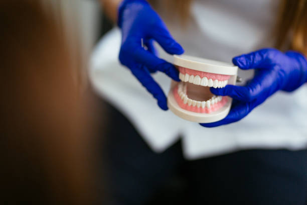 Reliable Nutter Fort, WV Holistic Dental Care Services Solutions